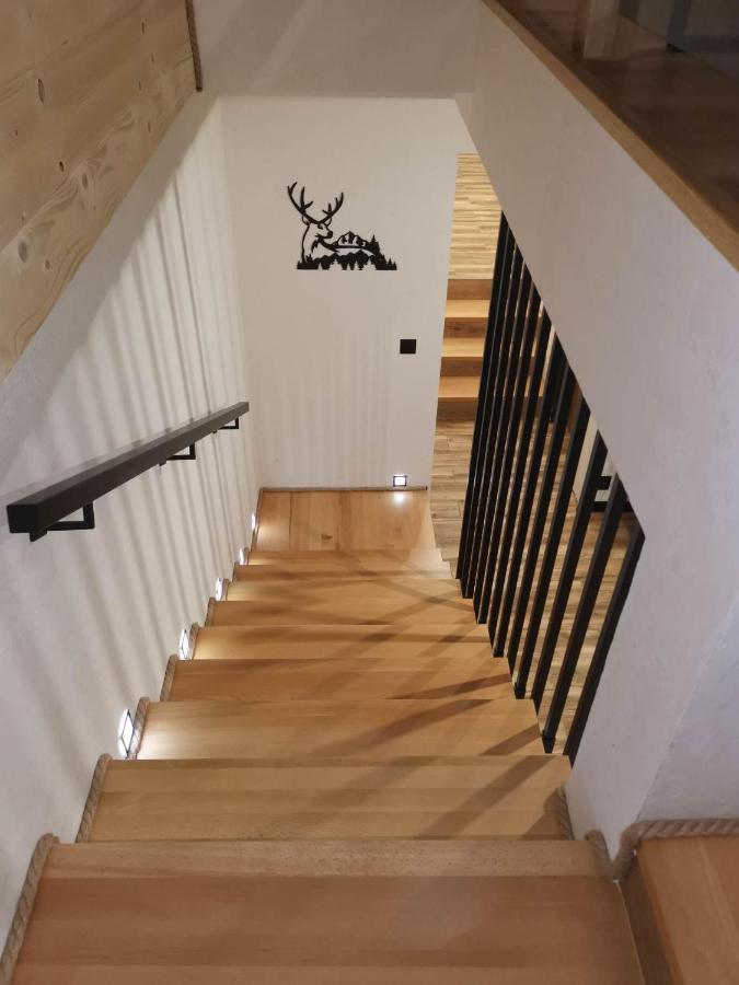 Apartament Skorusinka W Poblizu Chocholowskich Term Witów Eksteriør bilde