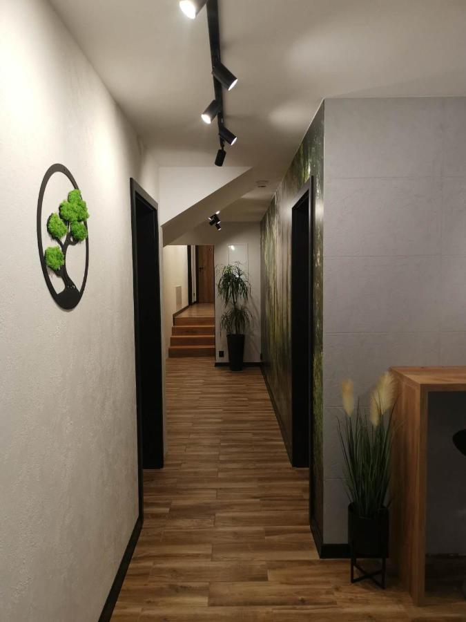 Apartament Skorusinka W Poblizu Chocholowskich Term Witów Eksteriør bilde